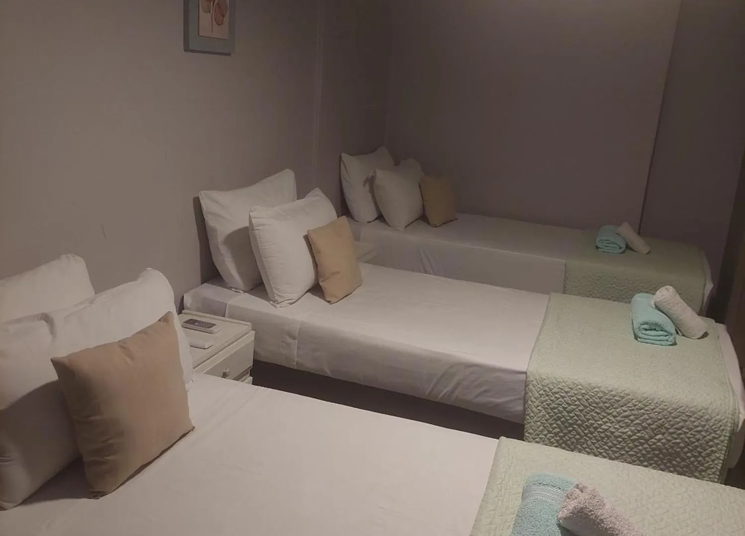 J B J Hotel Mendoza